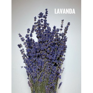 FIORI SECCHI - MAZZO LAVANDA BLU